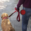 Collapsible Travel Dog Bowl