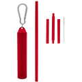 Reusable Detachable Straws with Plastic Case and Cleaning Brush