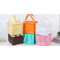 Reusable Insulated Lunch Bag