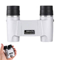 300 x 25 Autofocus Zoom Binoculars Night Vision