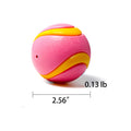 Dog Toy Ball