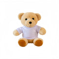 Sitting Bear Doll Plush Dolls