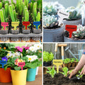Plant Labels