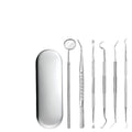 Portable Stainless Steel Toothpick Set - 6 Pieces