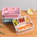 4 Compartment Wheat Straw Bento Lunch Boxes