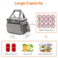 Insulated Lunch Tote