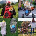 Collapsible Silicone Pet Bowl w/Carabiner