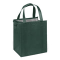 Econo Insulated Non-Woven Lunch Cooler Tote