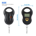 Portable 50KG Electronic Spring Scale