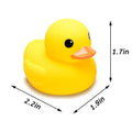 Yellow Rubber Ducks