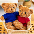 Plush Teddy Bear W/Choice of T-Shirt Color