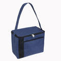 Cooler Bag