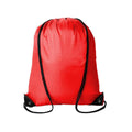 210D Polyester Drawstring Cinch Backpack