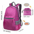 Foldable Backpack