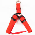 Rechargeable Light Up Dog Harness