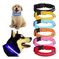 Luminous Pet Strap