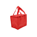 Insulated Lunch Bag