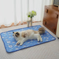 Pet Ice Mat