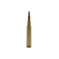 Plastic Bullet Pen