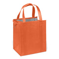 Econo Insulated Non-Woven Lunch Cooler Tote