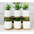 Ceramic White Round Planter