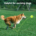 Custom Dog Training Tennis Balls Pet Interactive Toy