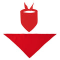 Pet Bandana Triangle Scarf