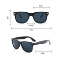 Foldable Sunglasses