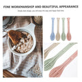 Biodegradable 3-In-1 Portable Tableware