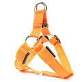Rechargeable Light Up Dog Harness
