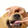 Pet Teeth Cleaning Brush