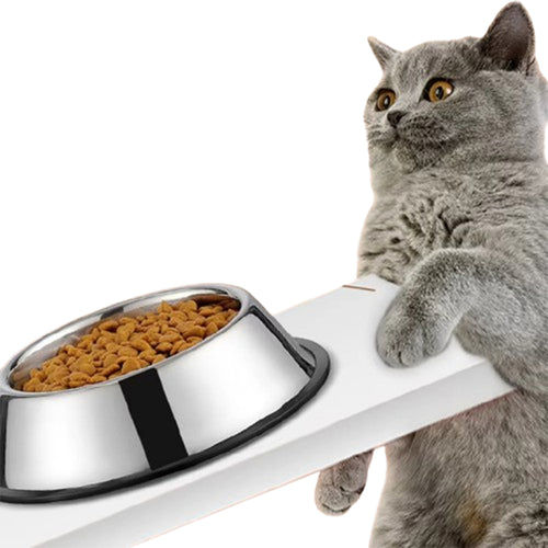 12 Oz Stainless Steel Pet Feeding Bowl