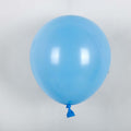 10 Inch Matte Latex Balloons Decorations