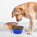 Collapsible Silicone Pet Bowl