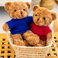 Teddy Bear Stuffed Toy Dressed Bear Doll