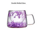 Double Walled Dried Flowers Glass Cups With Handle