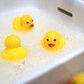 Yellow Rubber Ducks