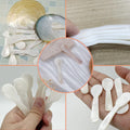 Round Handle Shell Coffee Spoon