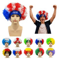 World Cup Soccer Fan Wigs
