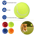 Dog Tennis Ball