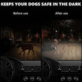 Led Light Up Clip-On Dog Collar