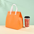 Non Woven Take-Out Cooler Bag