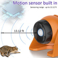 Cat Laser Toys Motion Acticated Responsive Interactions