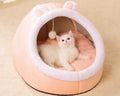 Pet Bed