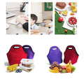 Portable Insulated Lunch Bag