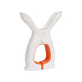 Beach Chairs Towel Clip