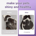 Pet Piggy Grooming Massage Brush