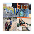 Pet Bag Dispensers