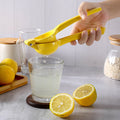 Ergonomic Fruit Press