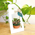 Planter Holder/ Craft Paper Gift Bag/ Potted Plant Packaging